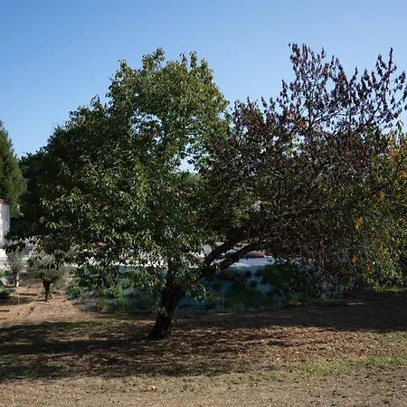 Les Coteaux De Pilauzin *