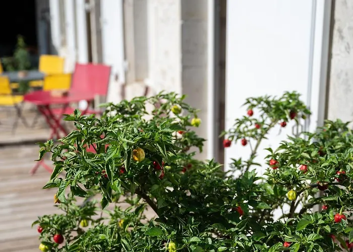 Tilleul 2 Personnes Sejour Lit Fait