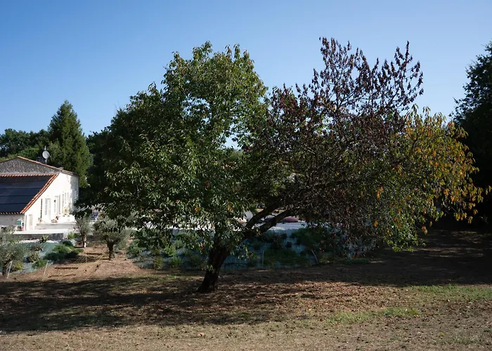 Les Coteaux De Pilauzin *